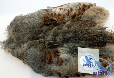 Skóra Kuropatwy (Partridge Grey Skin) 35