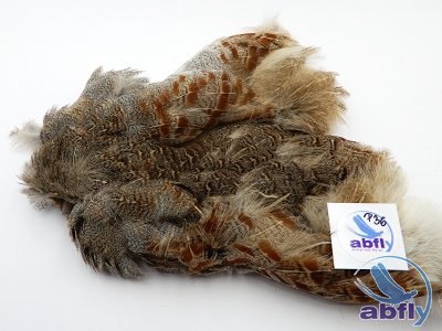 Skóra Kuropatwy (Partridge Grey Skin) 36