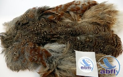 Skóra Kuropatwy (Partridge Grey Skin) 36