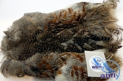 Skóra Kuropatwy (Partridge Grey Skin) 40