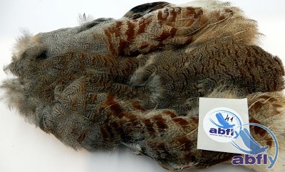 Skóra Kuropatwy (Partridge Grey Skin) 41