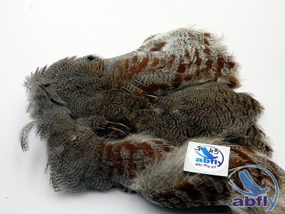 Skóra Kuropatwy (Partridge Grey Skin) 43
