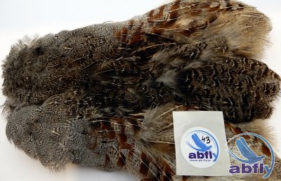 Skóra Kuropatwy (Partridge Grey Skin) 43
