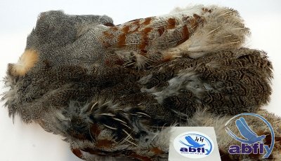 Skóra Kuropatwy (Partridge Grey Skin) 44