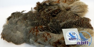 Skóra Kuropatwy (Partridge Grey Skin) 45