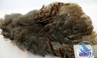 Skóra Kuropatwy (Partridge Grey Skin) 46