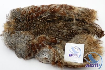 Skóra Kuropatwy (Partridge Grey Skin) 47