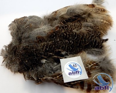 Skóra Kuropatwy (Partridge Grey Skin) 47