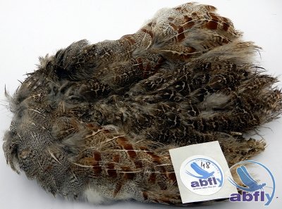 Skóra Kuropatwy (Partridge Grey Skin) 48
