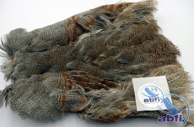 Skóra Kuropatwy (Partridge Grey Skin) 49