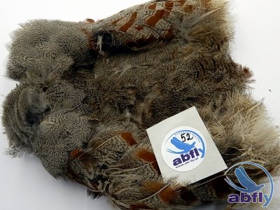 Skóra Kuropatwy (Partridge Grey Skin) 52