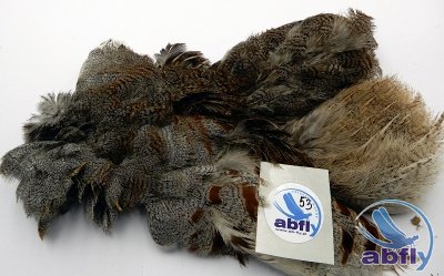 Skóra Kuropatwy (Partridge Grey Skin) 53