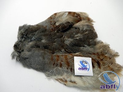 Skóra Kuropatwy (Partridge Grey Skin) 54
