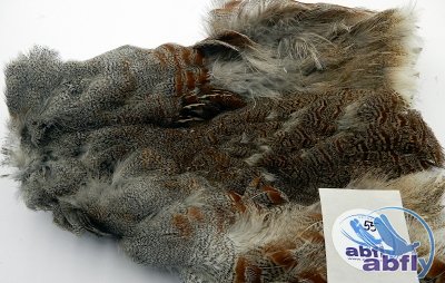 Skóra Kuropatwy (Partridge Grey Skin) 55