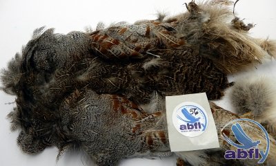 Skóra Kuropatwy (Partridge Grey Skin) 56