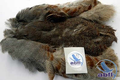 Skóra Kuropatwy (Partridge Grey Skin) 57