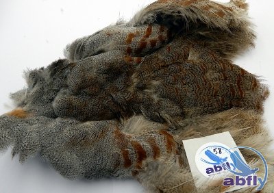 Skóra Kuropatwy (Partridge Grey Skin) 58