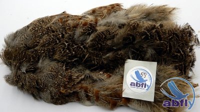 Skóra Kuropatwy (Partridge Grey Skin) 59