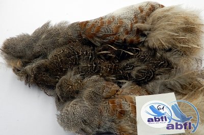 Skóra Kuropatwy (Partridge Grey Skin) 61