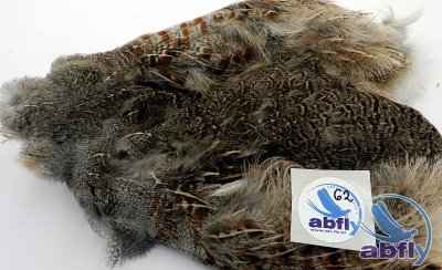 Skóra Kuropatwy (Partridge Grey Skin) 62
