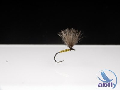 Sucha Mucha Light Olive S76