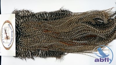 ROOT RIVER HACKLE grade 2