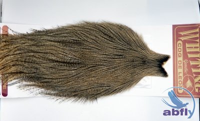 COQ DE LEON DARK PARDO