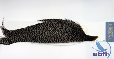 Whiting High&Dry Hckl 1/2 Grizzly dyed Medium Dun