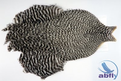 Whiting 4B Rooster Cape Grizzly