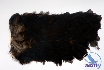 Whiting 4B Hen Saddle Black