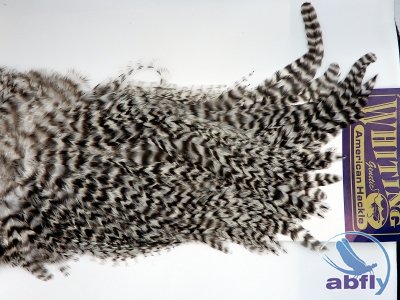 Whiting American Rooster Saddle Grizzly