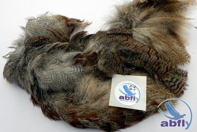 Skóra Kuropatwy (Partridge Grey Skin) 67