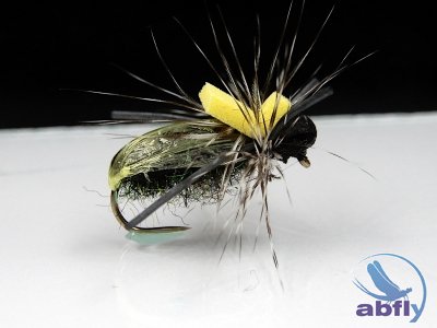 Sucha Mucha -  Beetle S116