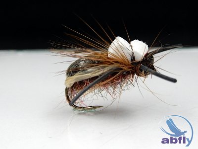 Sucha Mucha -  Beetle S117