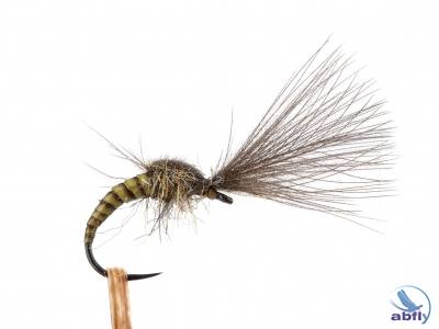 Sucha mucha Emerger Quill Olive