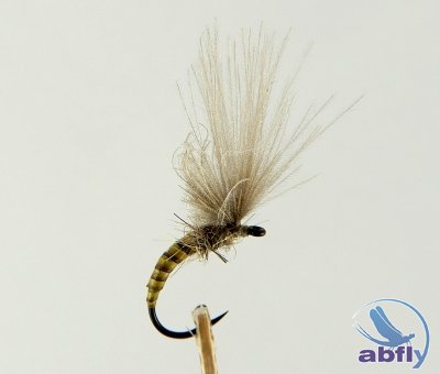 Sucha Mucha Emerger Quill Olive II