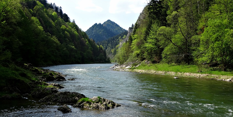 Pieniny